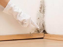 Best Mold Remediation for Vacation Homes  in Ellisburg, NJ